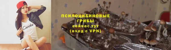mdpv Арсеньев
