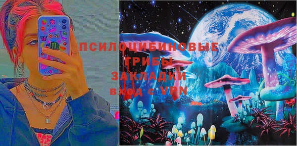 трава Аркадак